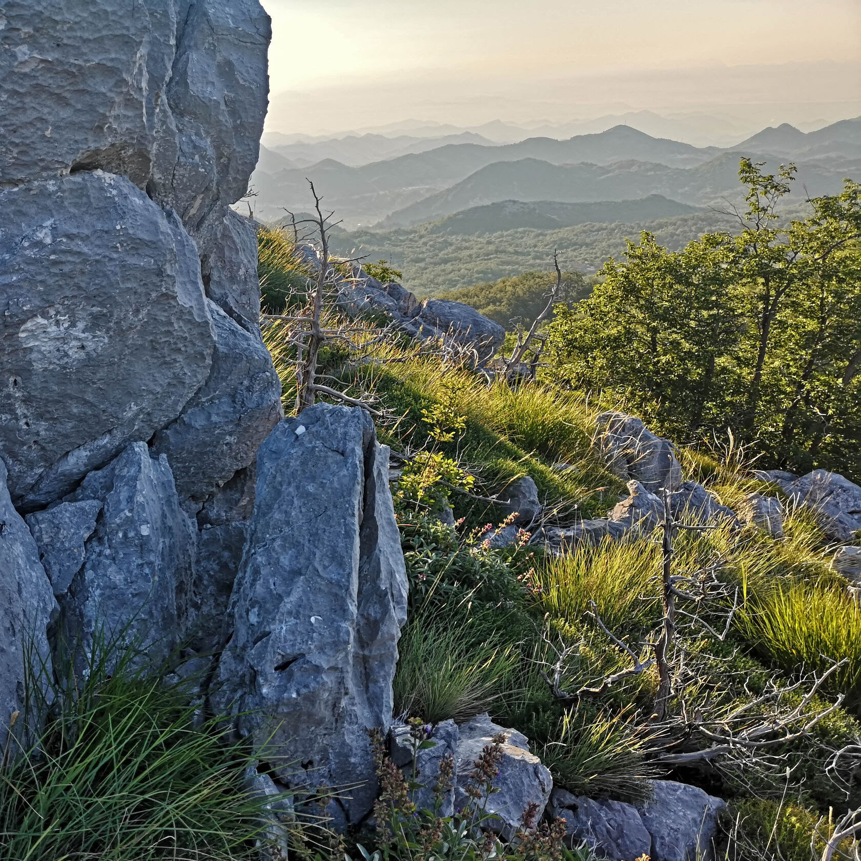 8 días de serena naturaleza salvaje en Montenegro, retiro de fitness
