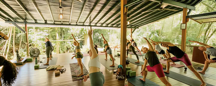 Volverse hacia adentro: explorando la sabiduría del Ashtanga Yoga