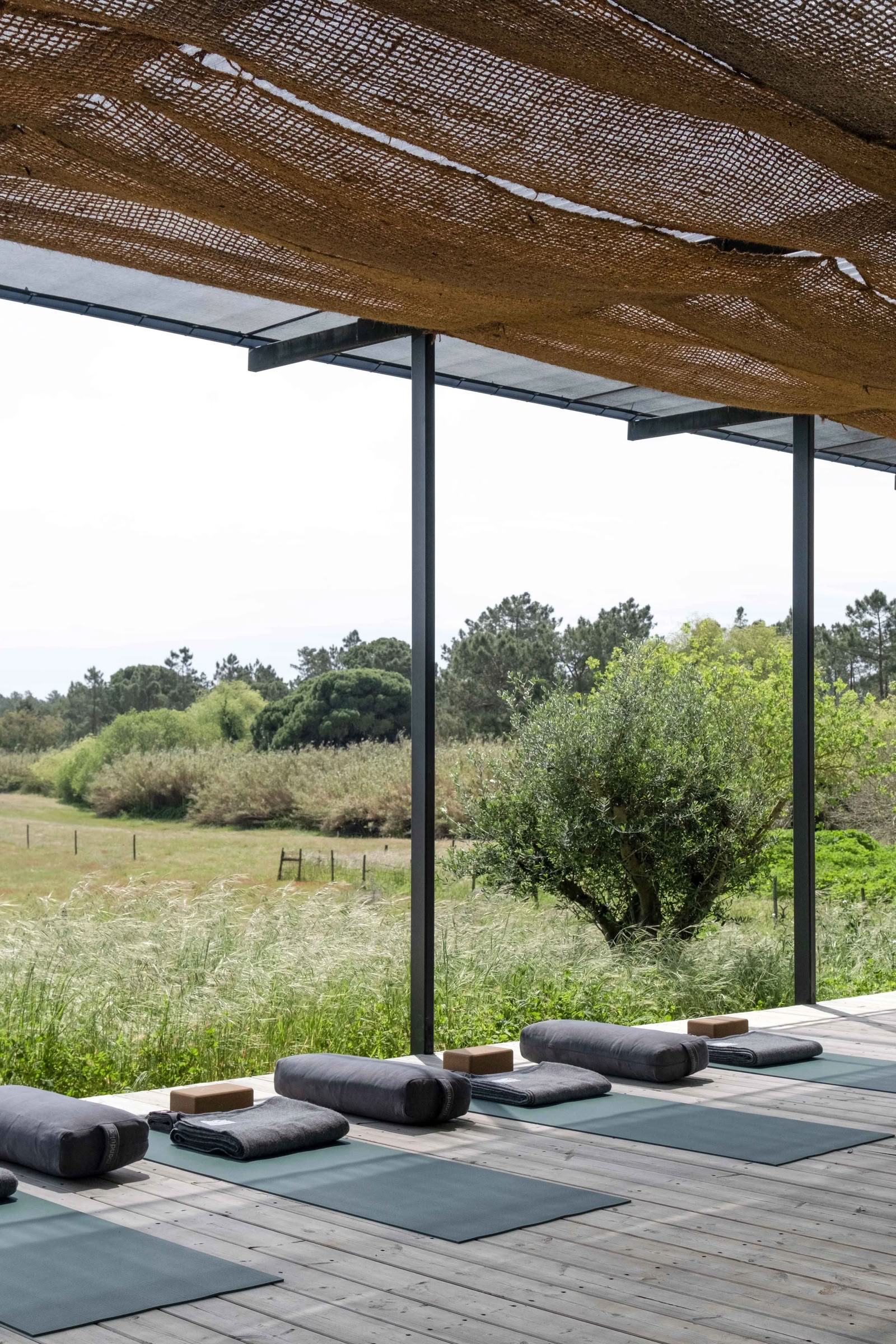 Raíz y Eleva: Retiro de Yoga en Portugal, septiembre de 2026