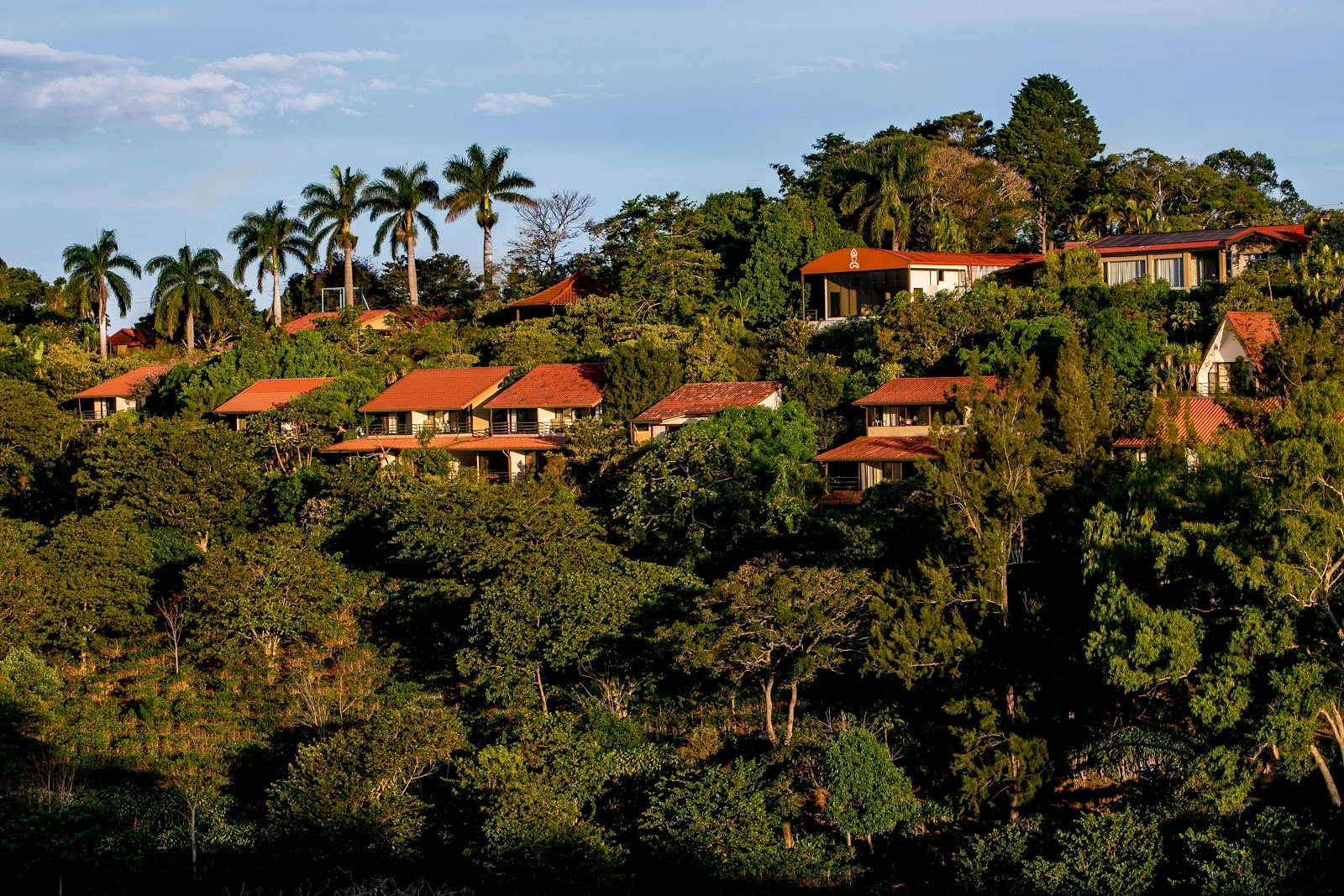 Pura Vida Retiro & Spa