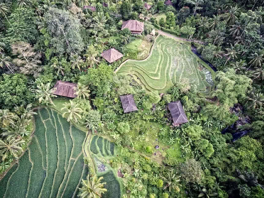 Purna Yoga Bali | Retiros y formaciones de Ashtanga Yoga