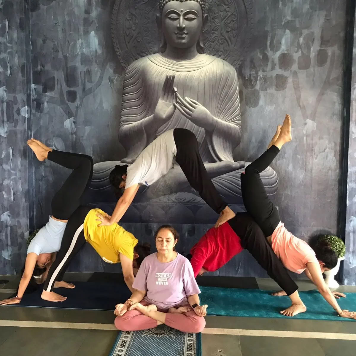 Sunshine yoga /Las mejores clases de yoga en Amritsar /Clases de yoga en Amritsar /Yoga en Amritsar