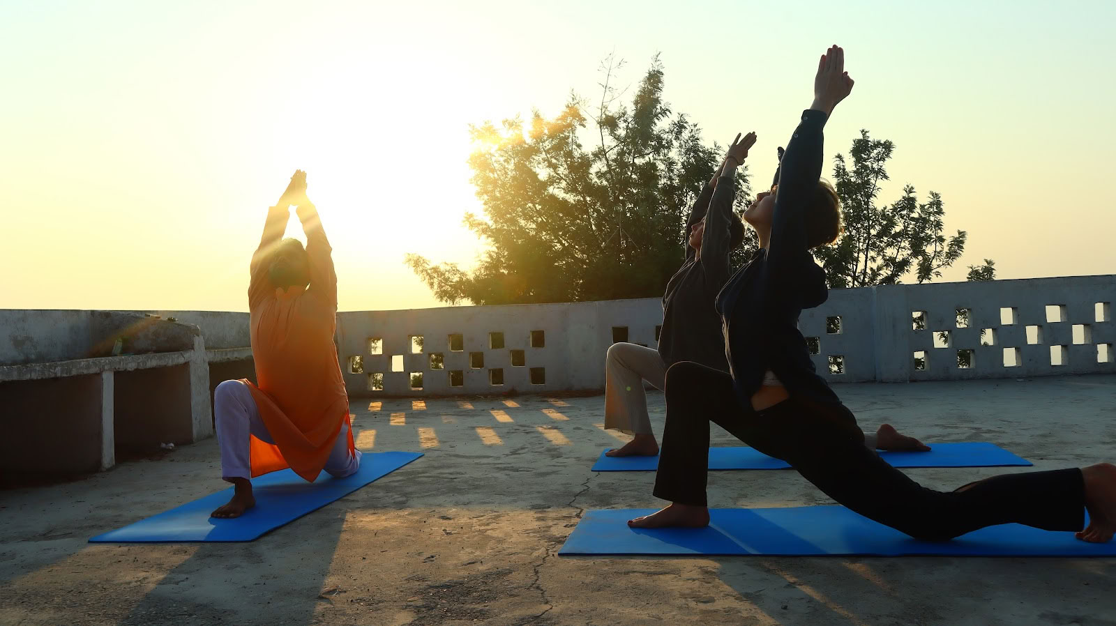 YOGA ESSENCE: Formación de Profesores de Meditación en Ashram