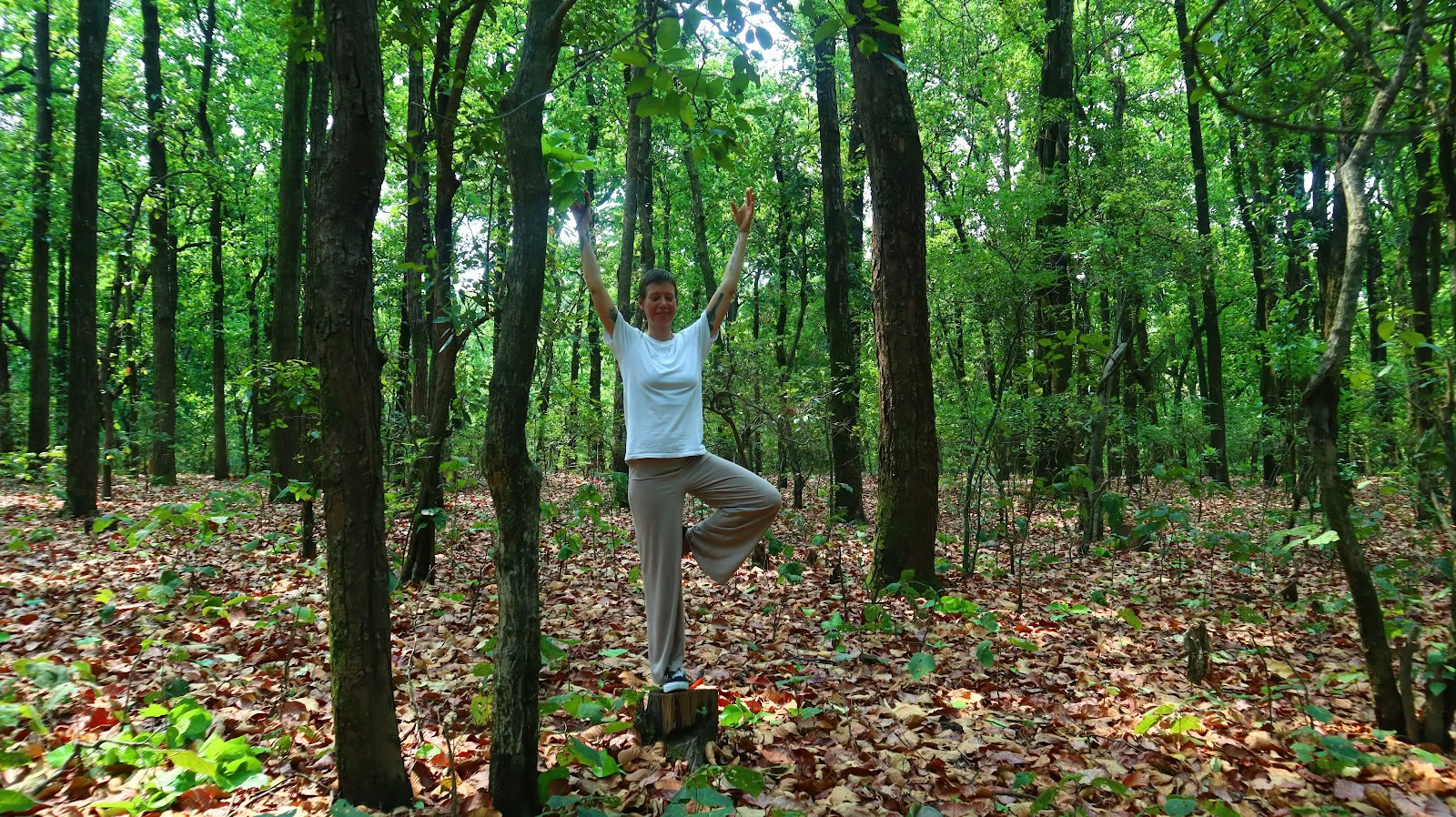 YOGA ESSENCE: Formación de Profesores de Meditación en Ashram