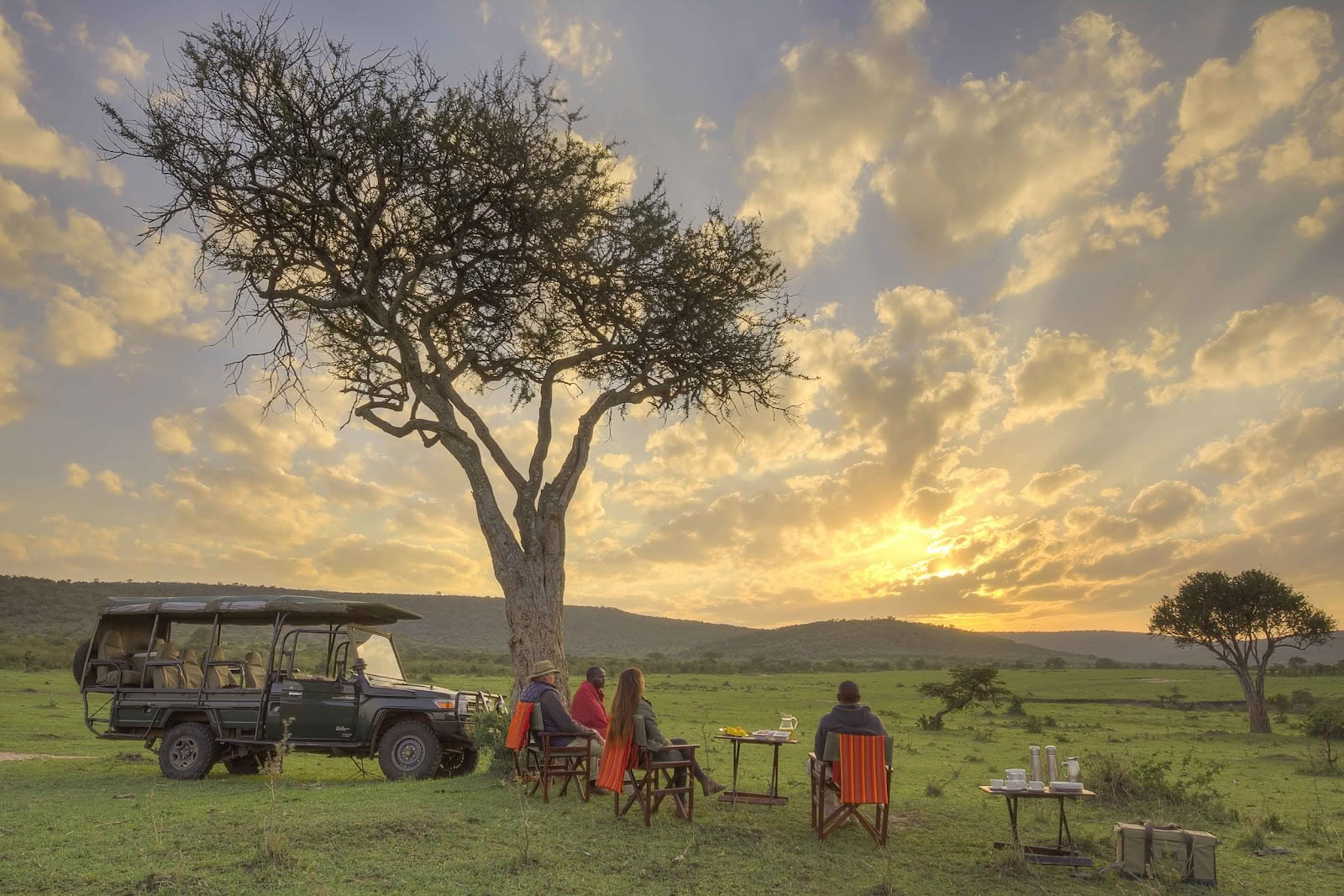 Safari y Yoga