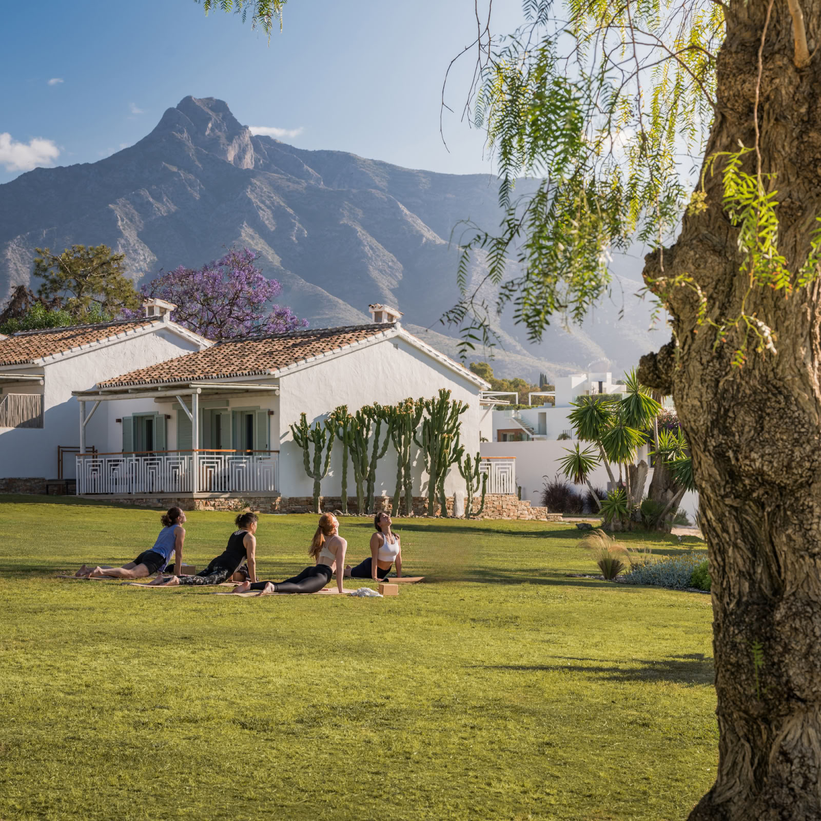 Boho Wellness · Salud y retiros