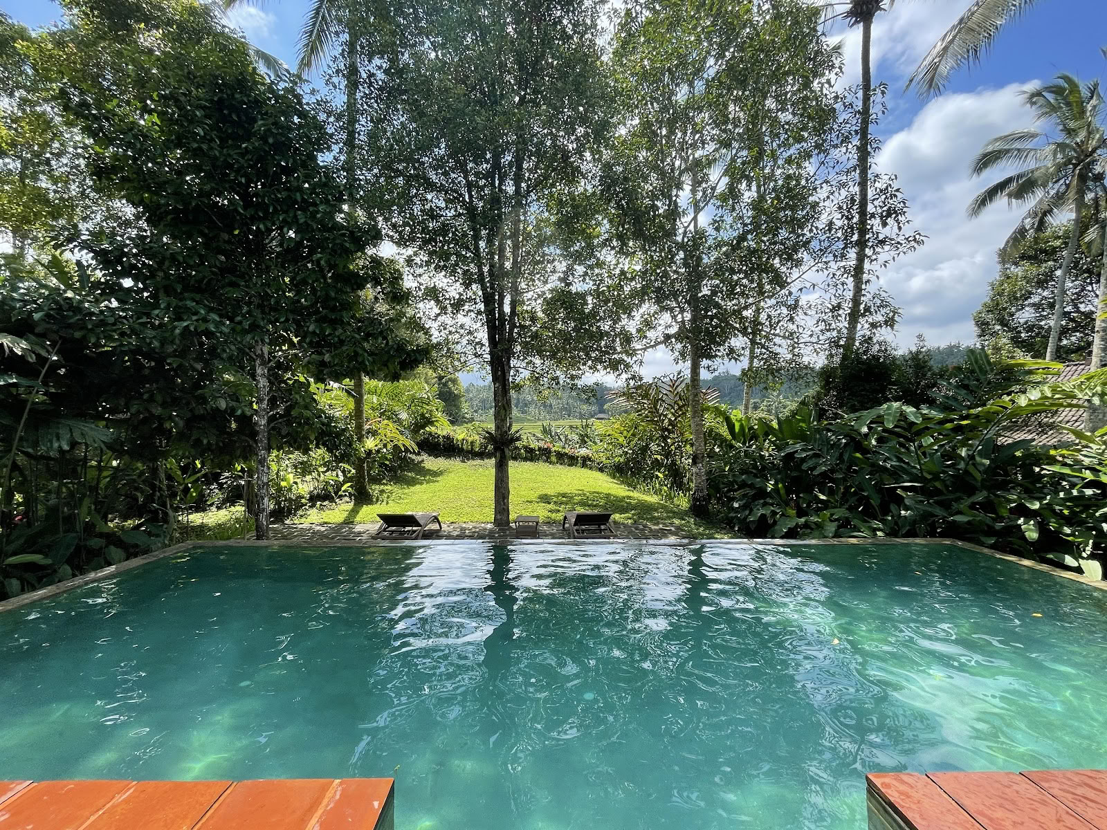 Colina del Árbol de Clavo - Eco Resort de Bali