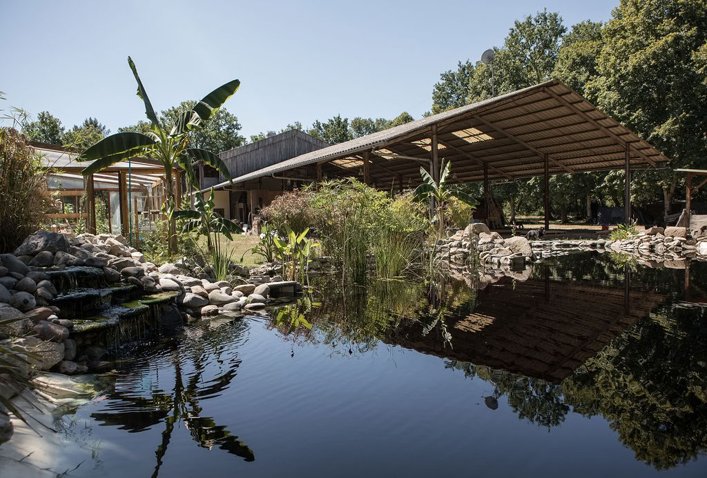 Hangar Project - Yoga y Surf