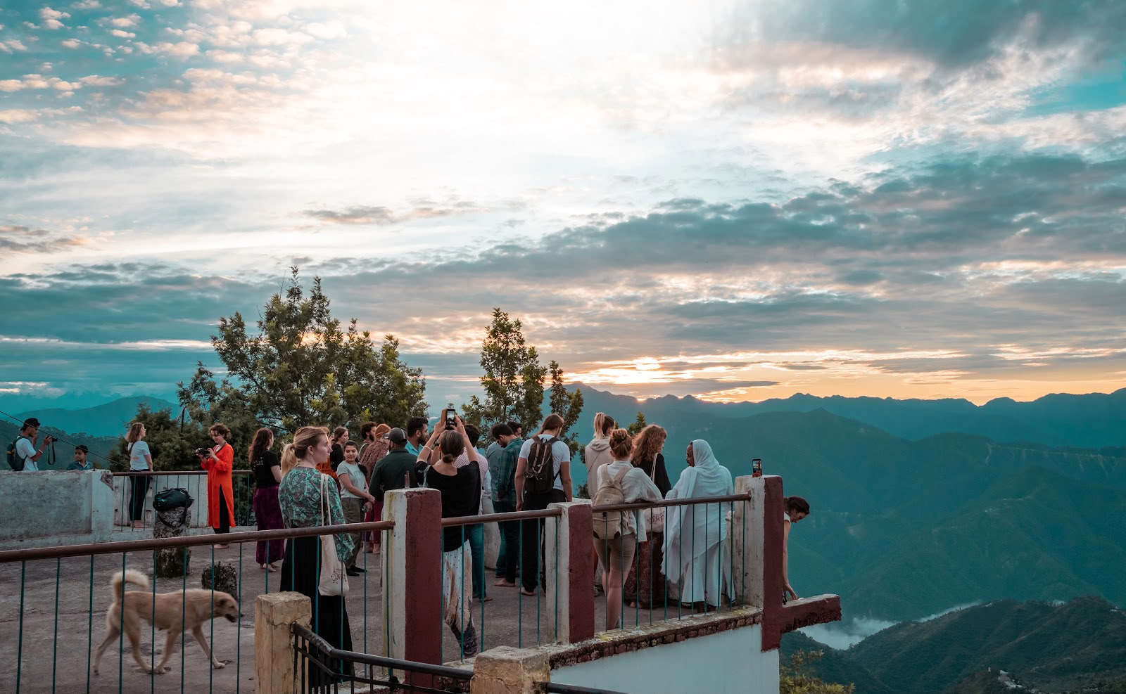 Samadhi Yoga Ashram - La mejor escuela de yoga en Rishikesh, India