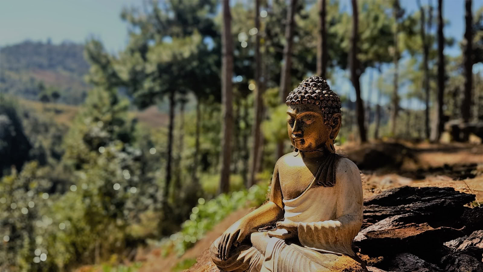 Centro de retiros de meditación y yoga de la familia Hridaya