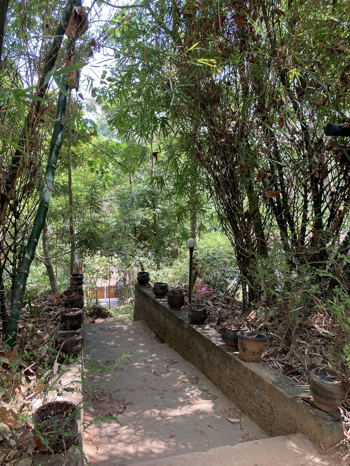 Retiro de Yoga Agnihotra