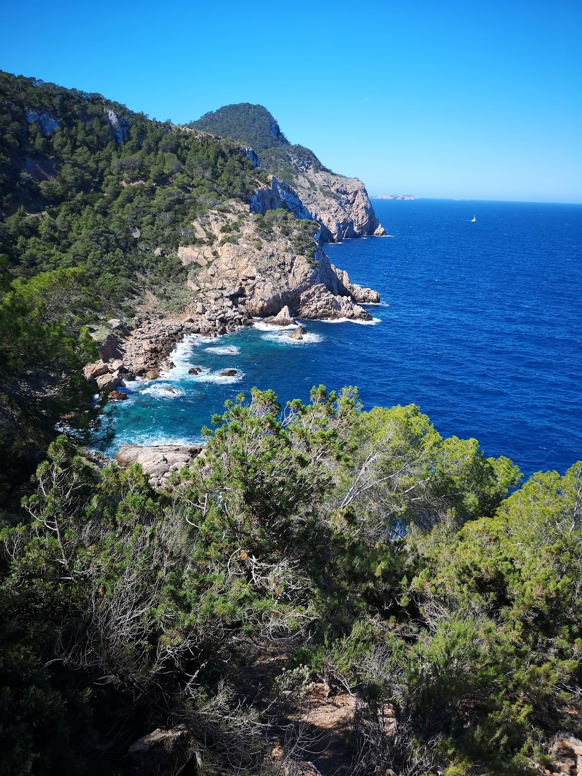 Artes en Movimiento de Ibiza
