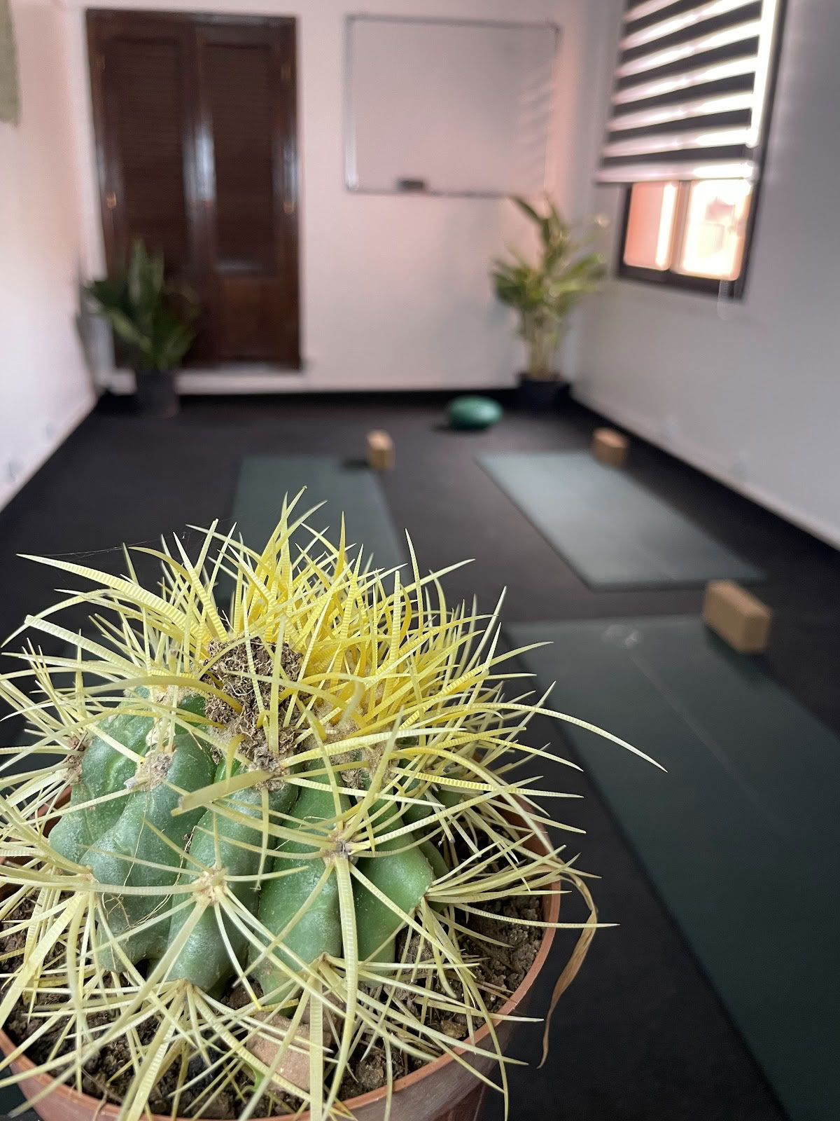 Kioze - Yoga Marrakech, Estudio de Yoga 100% Mujeres, Pilates Marrakech, Danza Oriental, Boxeo para Mujeres, Clases de Yoga Marrakech