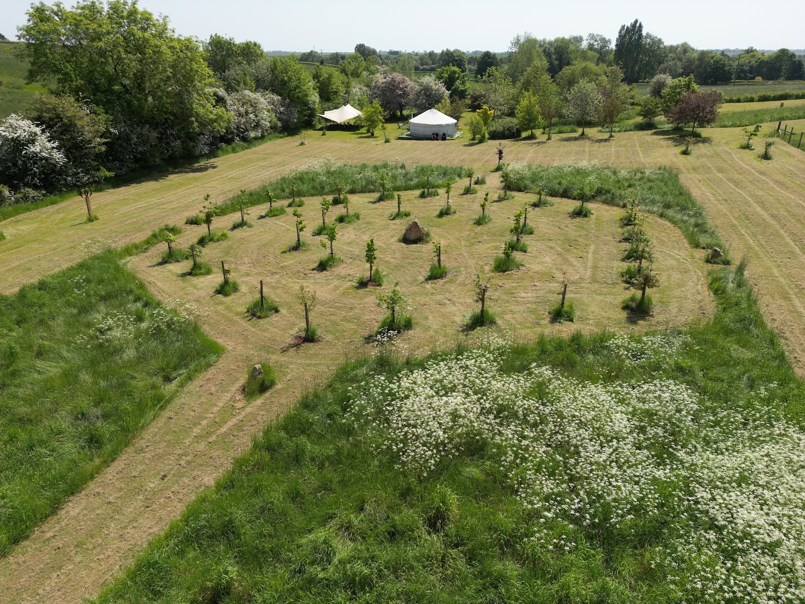 Campo de sanación