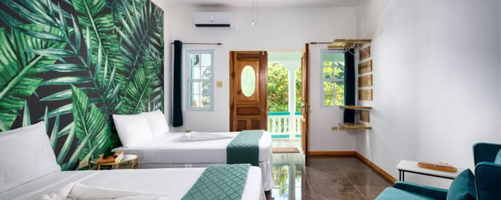 Suite 4 – Selva Oculta (Habitación doble)