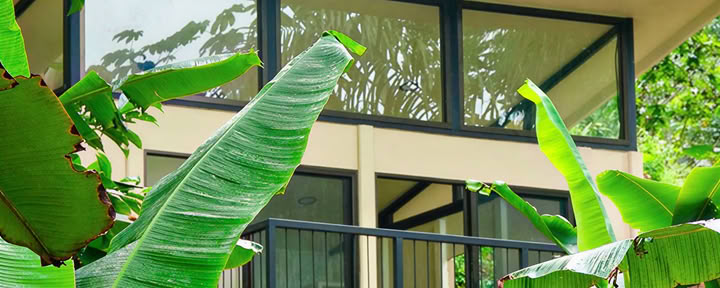 El Morpho Lodge
